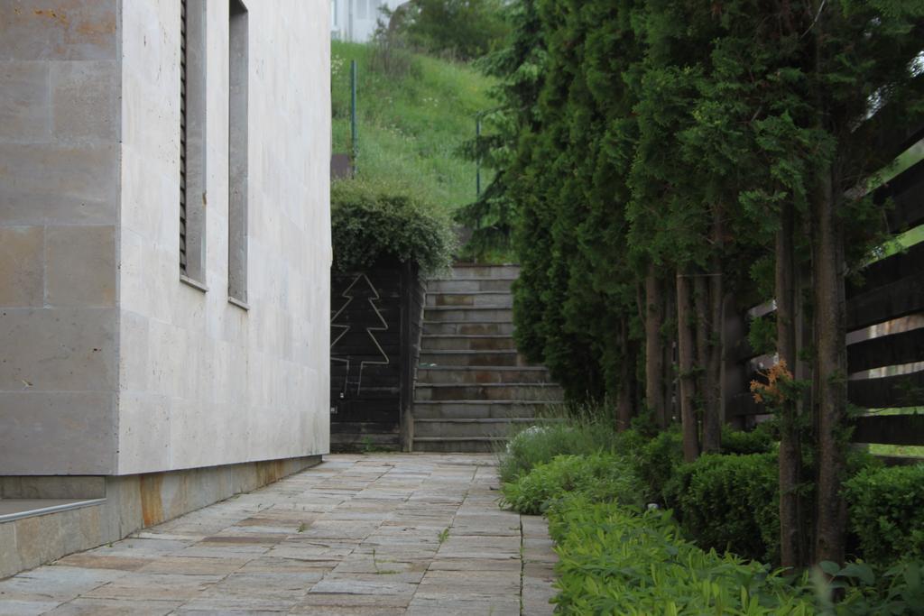 The Stone Villa Beli Iskar Esterno foto